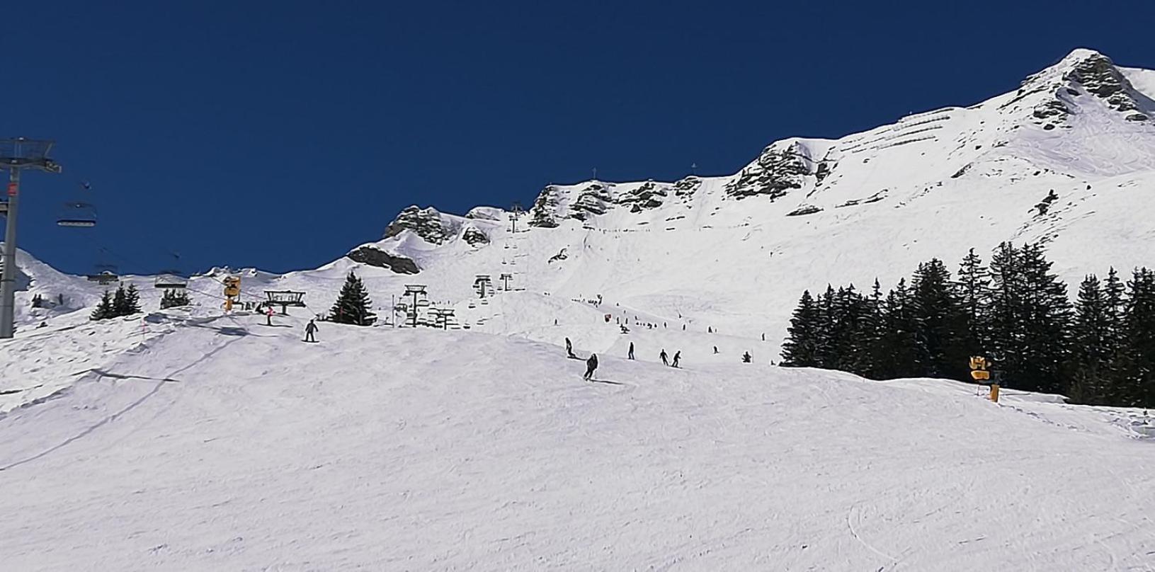 Bonavau Studio3 Champéry Eksteriør billede